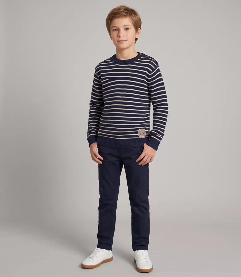 Boys Regular Fit Crewneck Sweater